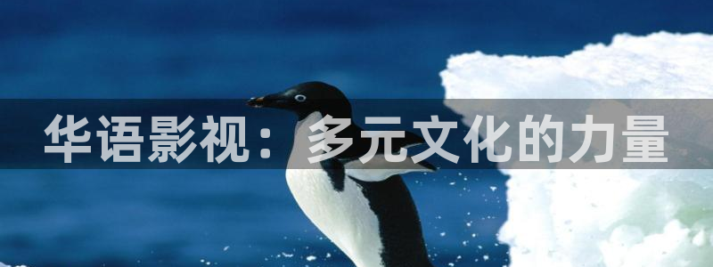 妈妈的朋友在线观看星辰影院：华语影视：多元文化的力量