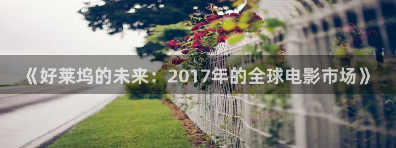 漫城电视剧免费观看完整版在线星辰影院：《好莱坞的未来：2017年的全球电影市场》