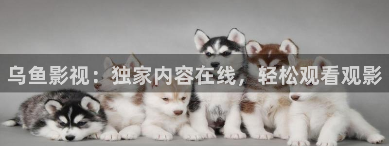 九重紫免费观看星辰影院：乌鱼影视：独家内容在线，轻松观看观影
