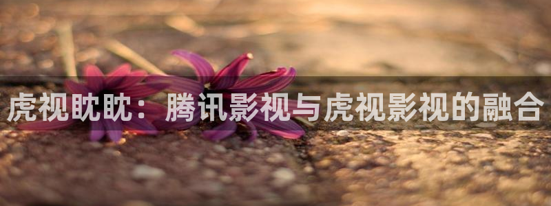 中影星辰影院：虎视眈眈：腾讯影视与虎视影视的融合