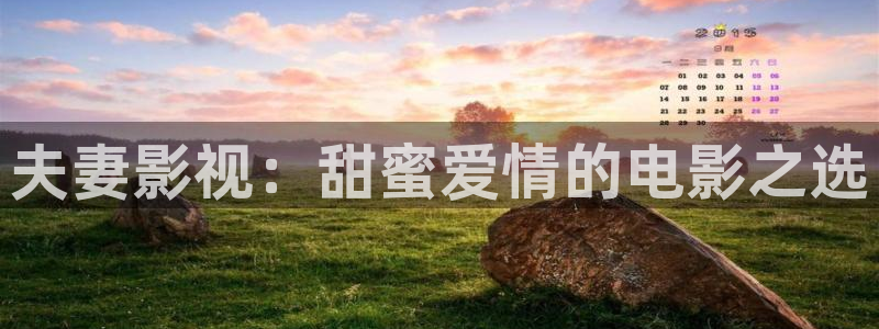 星辰影院最新版2024：夫妻影视：甜蜜爱情的电影之选