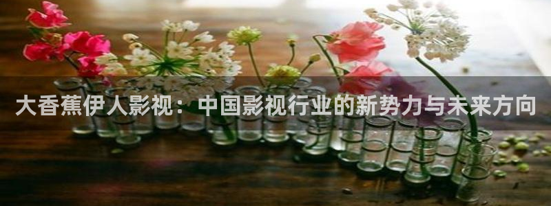 大梦归离免费观看星辰影院：大香蕉伊人影视：中国影视行业的新势力与未来方向