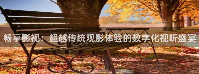 灿烂的风和海星辰影院：畅享影视：超越传统观影体验的数字化视听盛宴