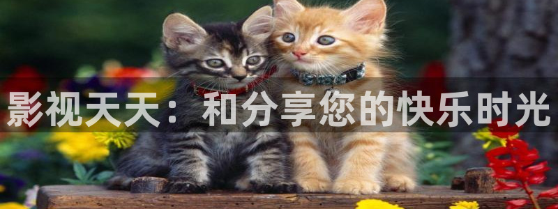 开始推理吧2季星辰影院：影视天天：和分享您的快乐时光