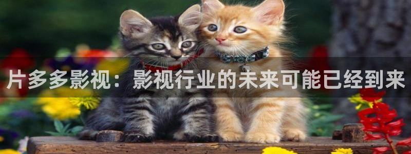 伦理星辰影院：片多多影视：影视行业的未来可能已经到来